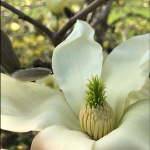 Meet your Posher, Cory